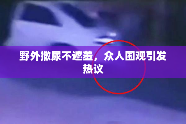 野外撒尿不遮羞，众人围观引发热议