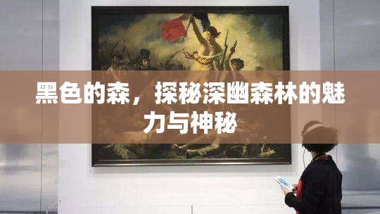 黑色的森，探秘深幽森林的魅力与神秘