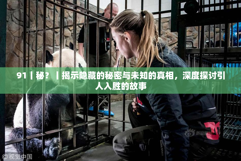 91丨秘？丨揭示隐藏的秘密与未知的真相，深度探讨引人入胜的故事