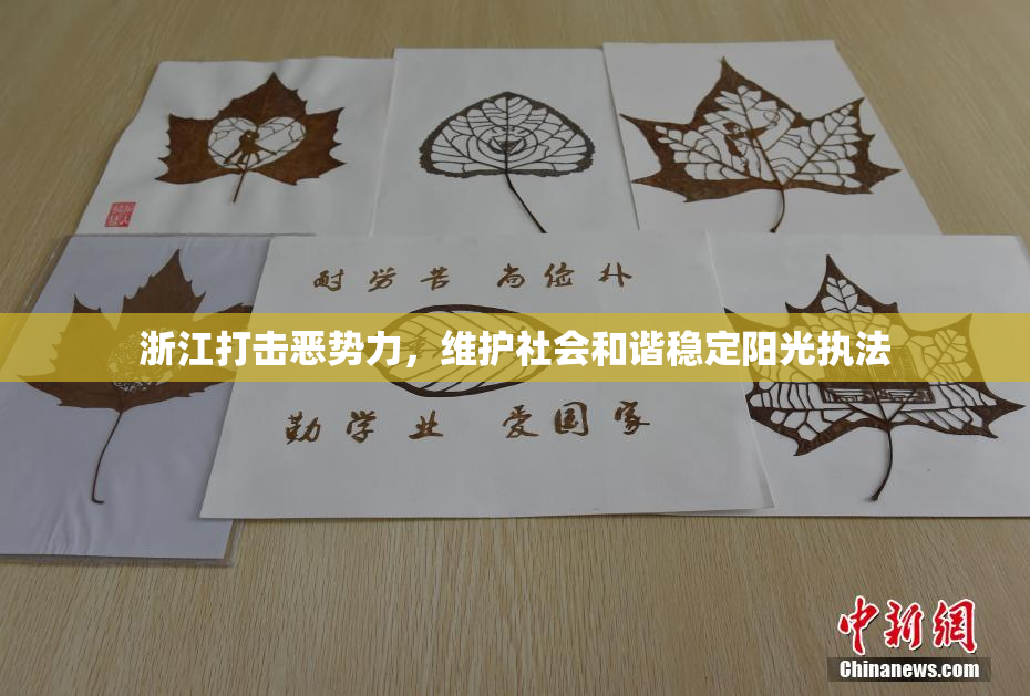 浙江打击恶势力，维护社会和谐稳定阳光执法