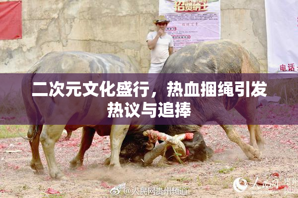 二次元文化盛行，热血捆绳引发热议与追捧