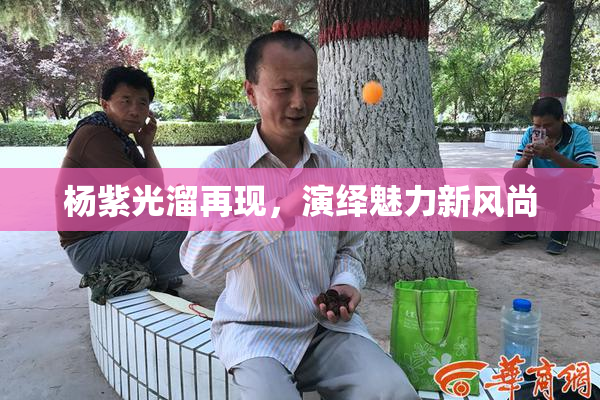 杨紫光溜再现，演绎魅力新风尚