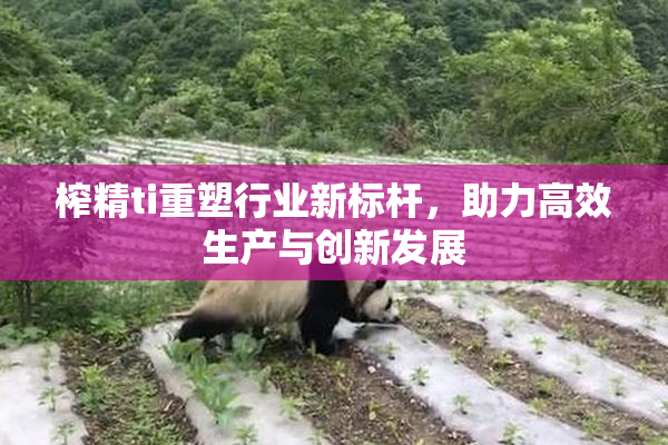 榨精ti重塑行业新标杆，助力高效生产与创新发展