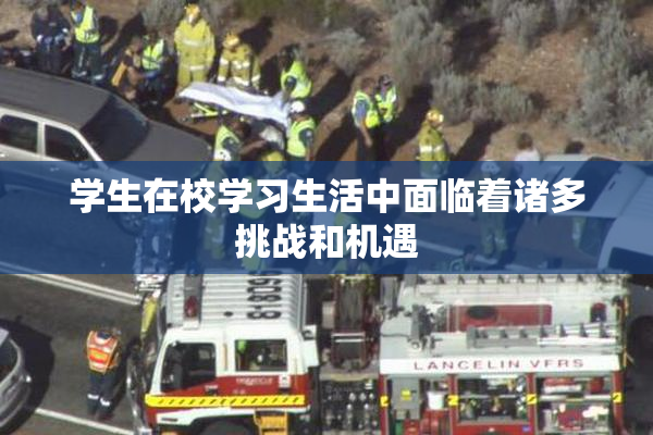 学生在校学习生活中面临着诸多挑战和机遇