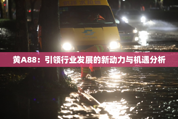 黄A88：引领行业发展的新动力与机遇分析