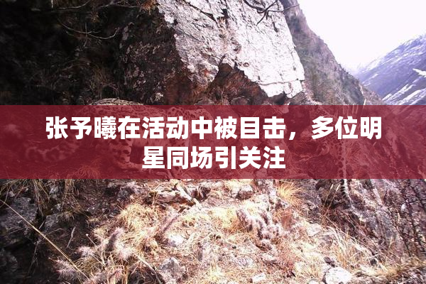 张予曦在活动中被目击，多位明星同场引关注