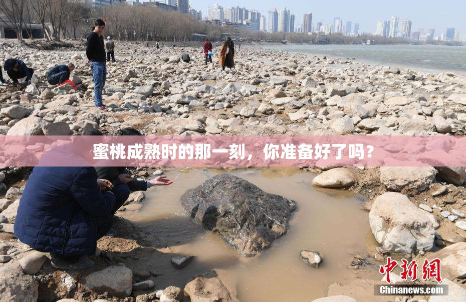 蜜桃成熟时的那一刻，你准备好了吗？