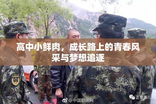 高中小鲜肉，成长路上的青春风采与梦想追逐