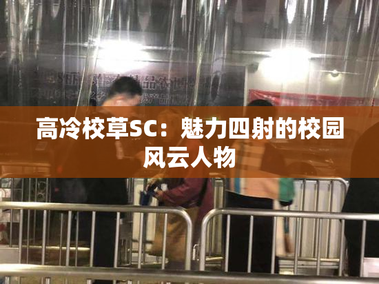 高冷校草SC：魅力四射的校园风云人物