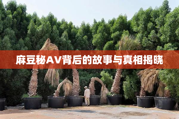 麻豆秘AV背后的故事与真相揭晓