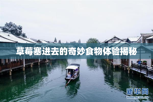 草莓塞进去的奇妙食物体验揭秘