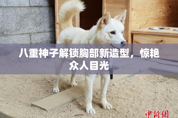 八重神子解锁胸部新造型，惊艳众人目光