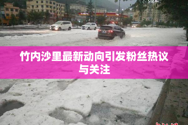 竹内沙里最新动向引发粉丝热议与关注