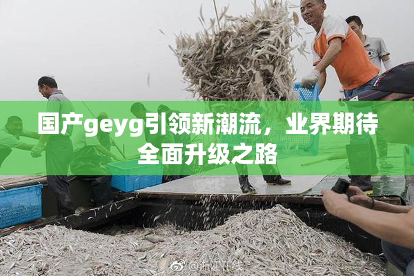 国产geyg引领新潮流，业界期待全面升级之路