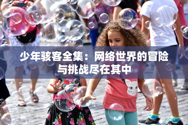 少年骇客全集：网络世界的冒险与挑战尽在其中