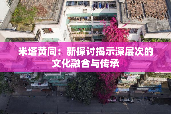 米塔黄同：新探讨揭示深层次的文化融合与传承