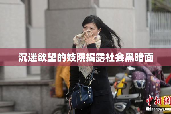 沉迷欲望的妓院揭露社会黑暗面