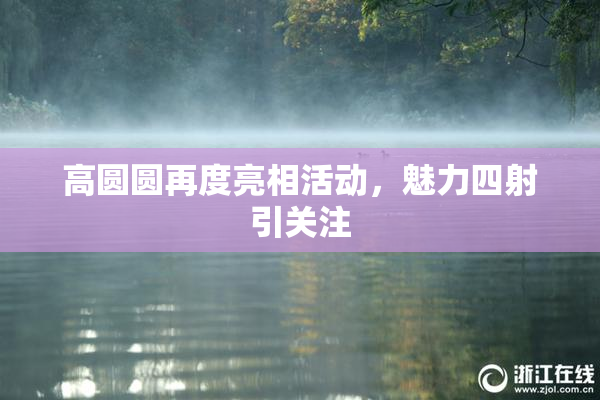 高圆圆再度亮相活动，魅力四射引关注