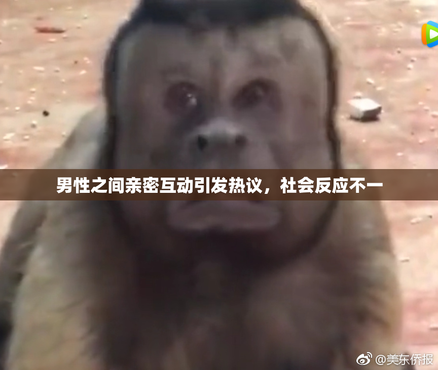 男性之间亲密互动引发热议，社会反应不一