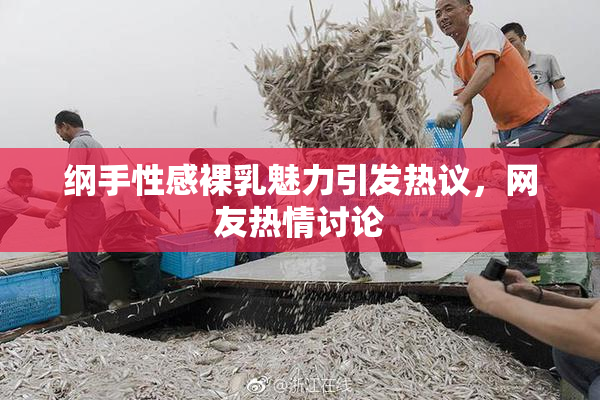 纲手性感裸乳魅力引发热议，网友热情讨论