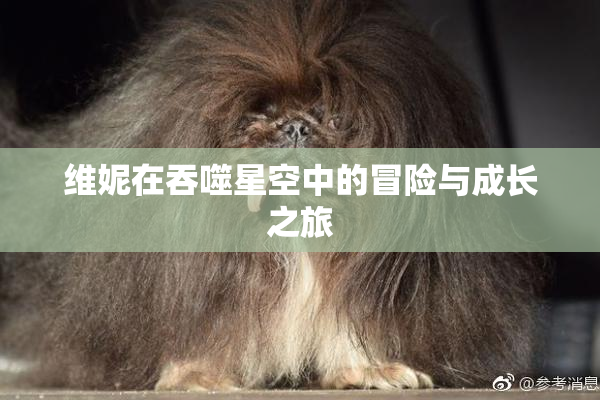 维妮在吞噬星空中的冒险与成长之旅