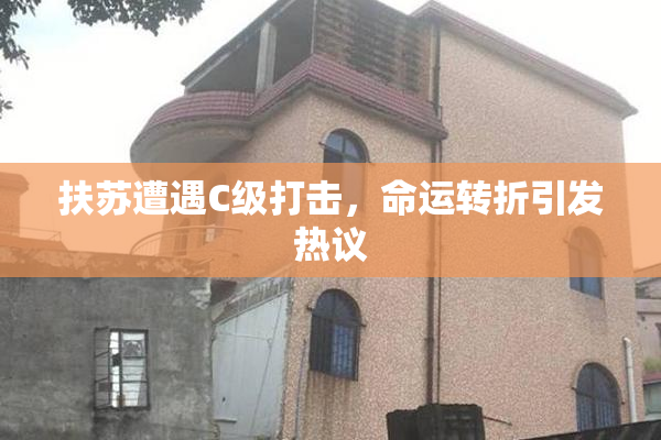 扶苏遭遇C级打击，命运转折引发热议