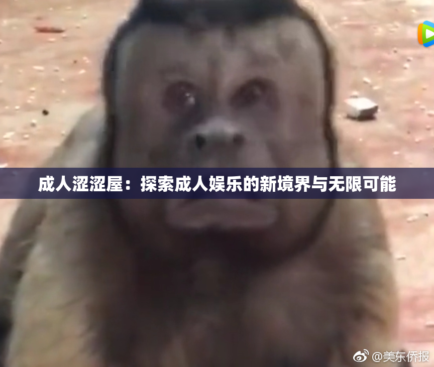 成人涩涩屋：探索成人娱乐的新境界与无限可能