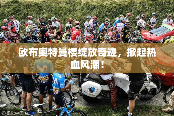 欧布奥特曼樱绽放奇迹，掀起热血风潮！