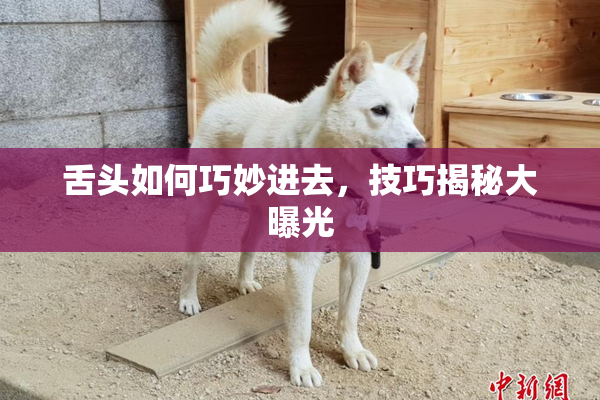 舌头如何巧妙进去，技巧揭秘大曝光