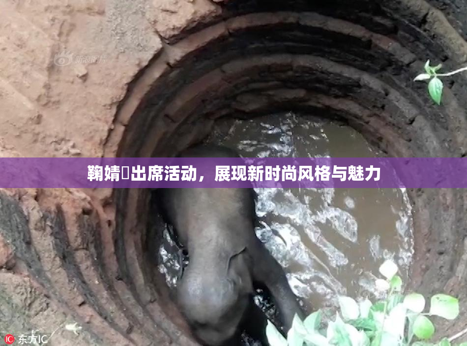 鞠婧祎出席活动，展现新时尚风格与魅力
