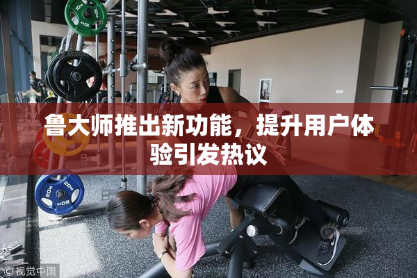 鲁大师推出新功能，提升用户体验引发热议