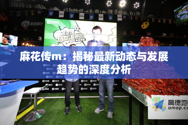 麻花传m：揭秘最新动态与发展趋势的深度分析