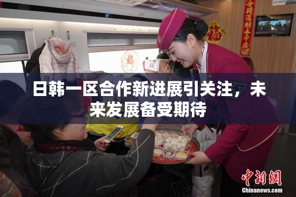 日韩一区合作新进展引关注，未来发展备受期待