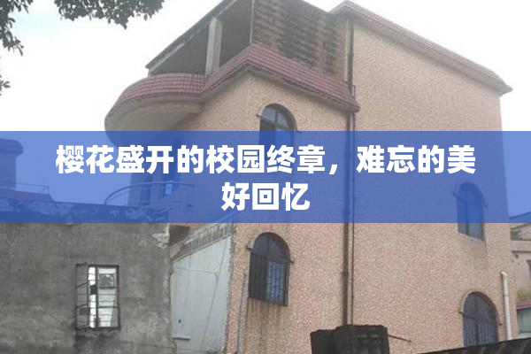 樱花盛开的校园终章，难忘的美好回忆