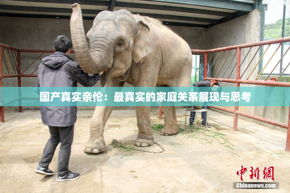 国产真实亲伦：最真实的家庭关系展现与思考