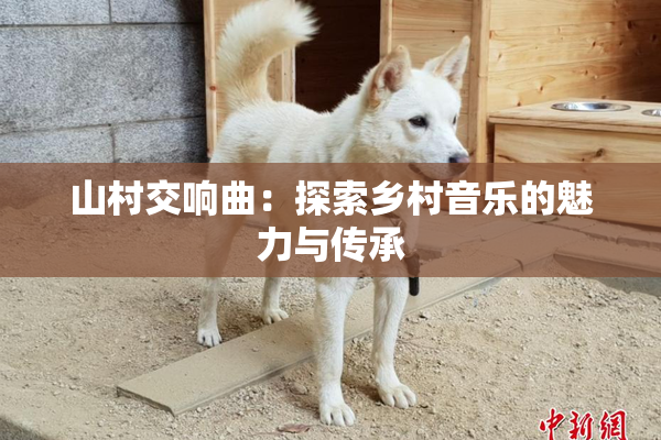 山村交响曲：探索乡村音乐的魅力与传承