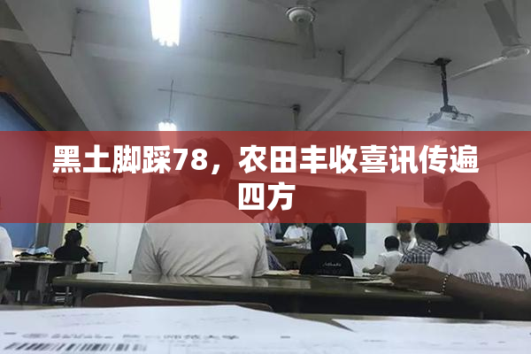 黑土脚踩78，农田丰收喜讯传遍四方