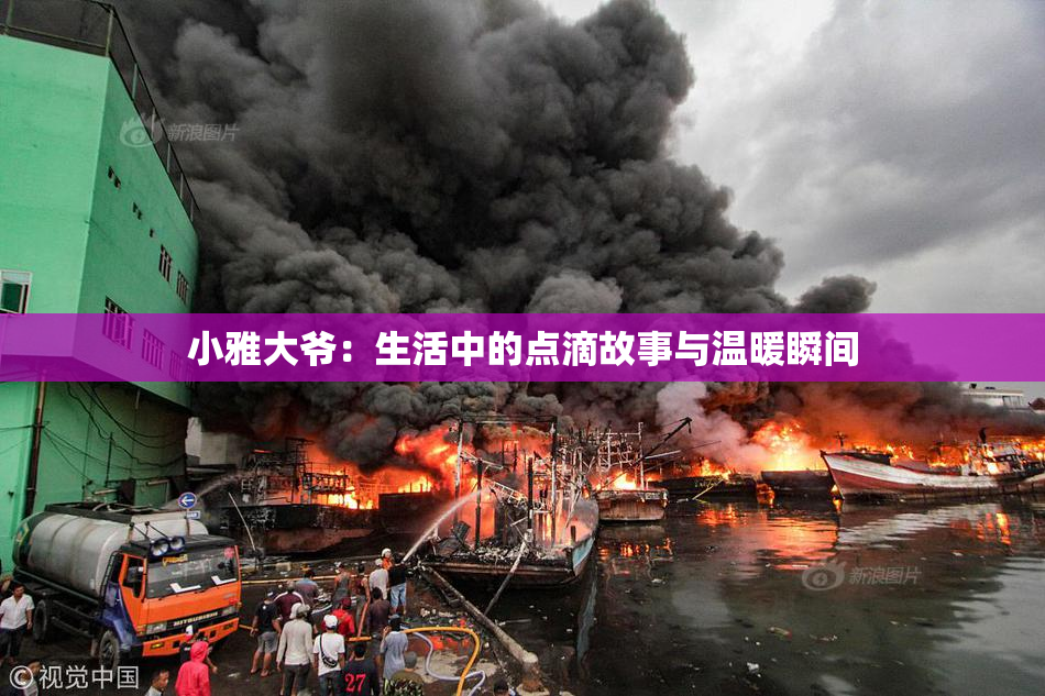 小雅大爷：生活中的点滴故事与温暖瞬间