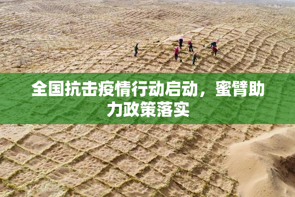 全国抗击疫情行动启动，蜜臂助力政策落实