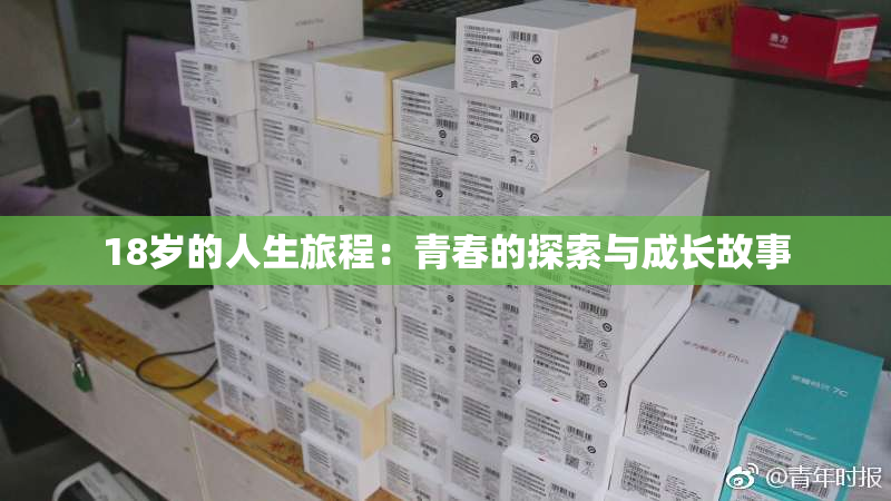 18岁的人生旅程：青春的探索与成长故事