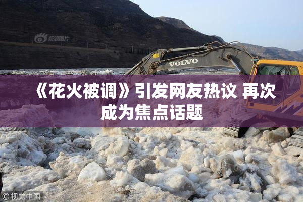 《花火被调》引发网友热议 再次成为焦点话题