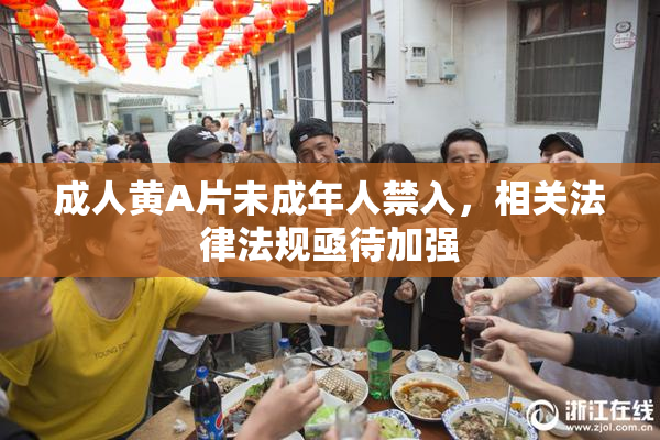 成人黄A片未成年人禁入，相关法律法规亟待加强