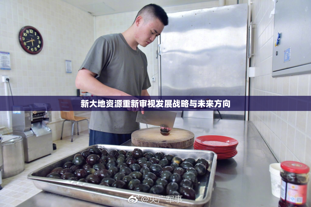 新大地资源重新审视发展战略与未来方向