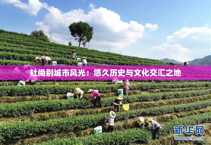 杜尚别城市风光：悠久历史与文化交汇之地