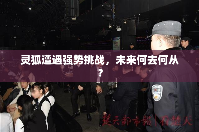 灵狐遭遇强势挑战，未来何去何从？