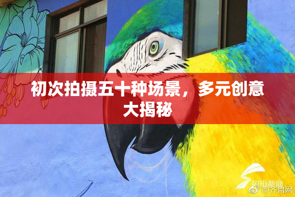 初次拍摄五十种场景，多元创意大揭秘