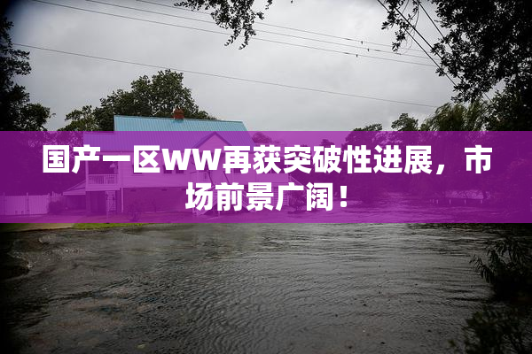 国产一区WW再获突破性进展，市场前景广阔！