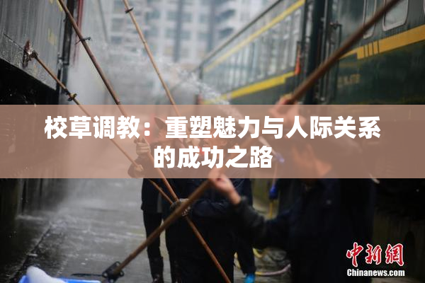 校草调教：重塑魅力与人际关系的成功之路