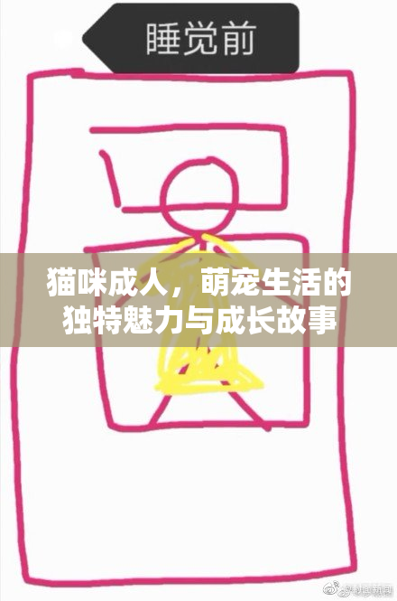 猫咪成人，萌宠生活的独特魅力与成长故事