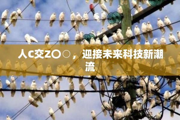 人C交Z〇○，迎接未来科技新潮流